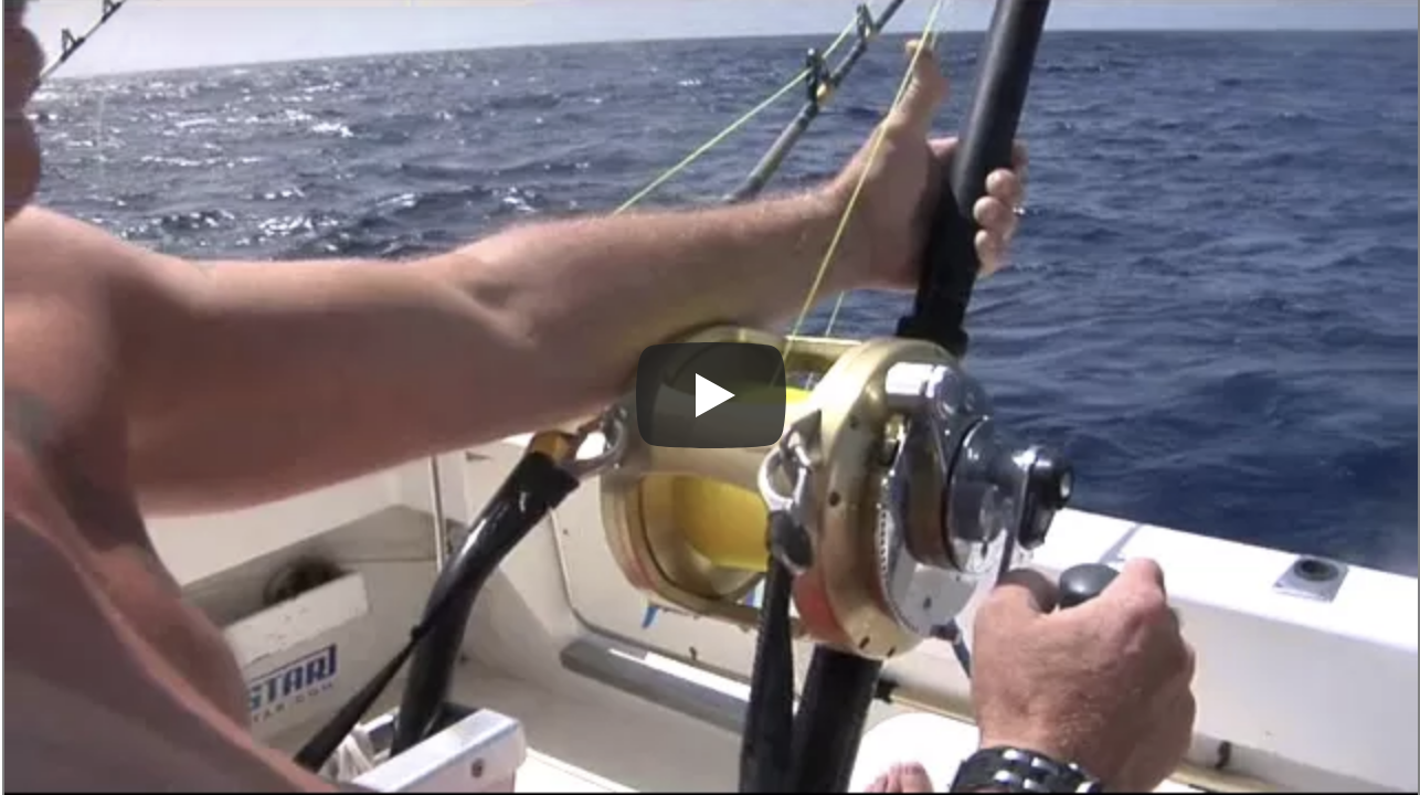Vídeos del XXVI Concurso de Pesca de Pasito Blanco