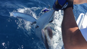 La tripulación del Ibo consigue el primer premio en la 26 edición del Concurso de Pesca de Altura Pasito Blanco