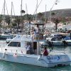 Fish on - Concurso de Pesca Pasito Blanco