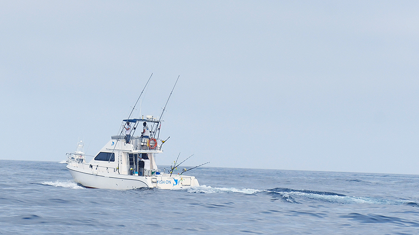 El Fish On lidera la primera jornada del 29º Concurso de Pesca de Altura Pasito Blanco