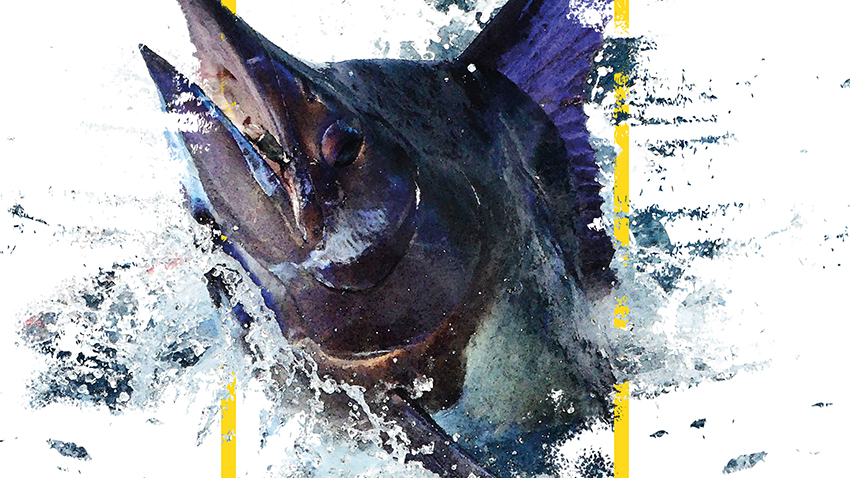 El Concurso de Pesca Pasito Blanco 2020 ya tiene cartel