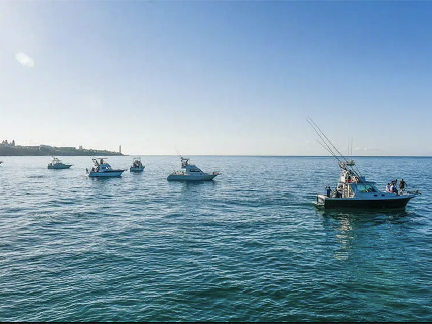 La revista ‘Jara y Sedal’ se hace eco del I Open Internacional Pesca de Altura Gran Canaria
