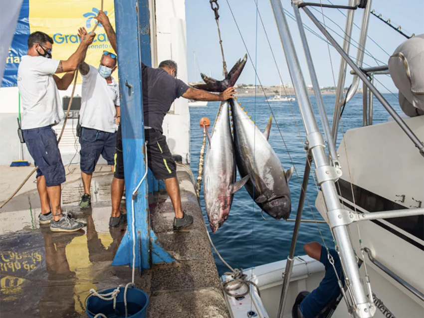 La “aventura” del II Open de Pesca Gran Canaria, en la revista ‘Blinker’