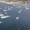 Arranca el Open Internacional de Pesca