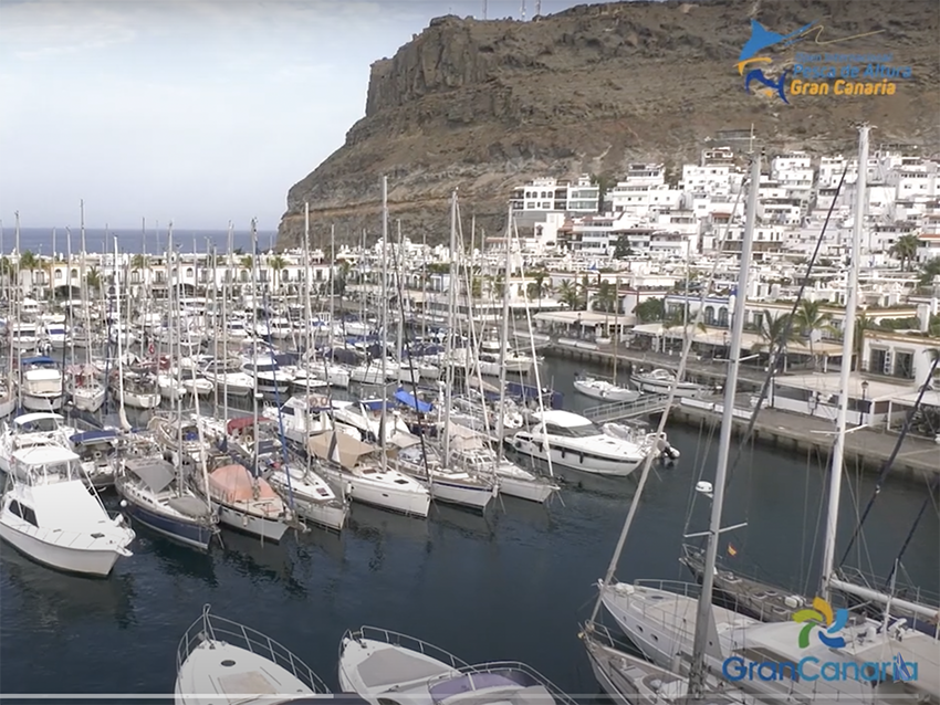 Así se vivió el arranque de la segunda jornada del III Open de Pesca Gran Canaria